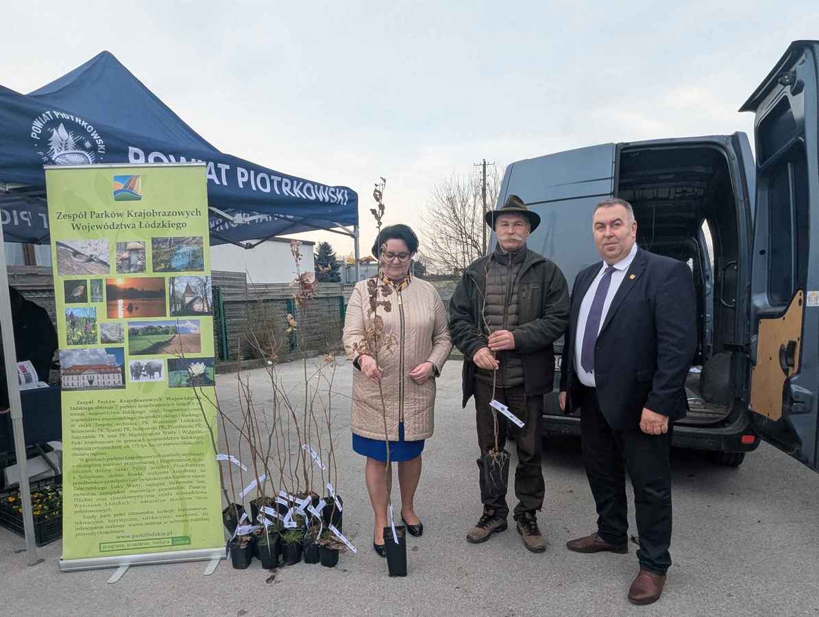 PXL 20250326 082257415