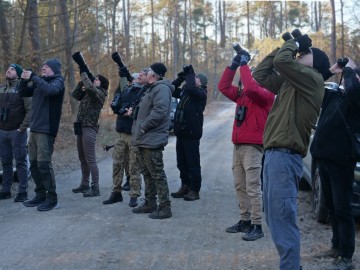 Sezon na sowy w Sulejowskim PK., 