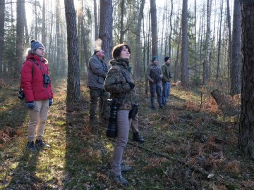 Sezon na sowy w Sulejowskim PK., 