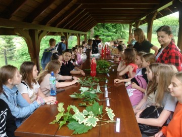 Szkolenie z rozpoznawania liści w Przedborskim Parku Krajobrazowym, 