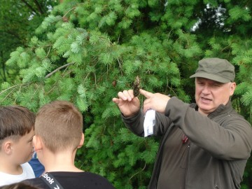 Szkolenie z rozpoznawania liści w Przedborskim Parku Krajobrazowym, 