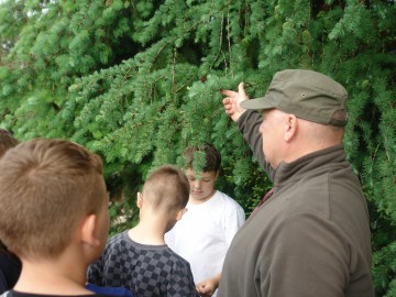 Szkolenie z rozpoznawania liści w Przedborskim Parku Krajobrazowym, 