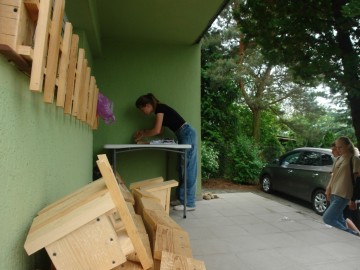 Szkolenie z rozpoznawania liści w Przedborskim Parku Krajobrazowym, 