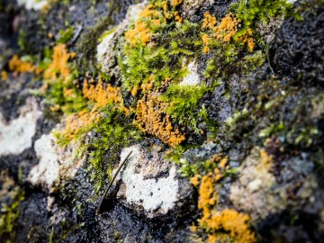 W oczekiwaniu na wiosnę rezerwat Czarna Rózga 2026, 