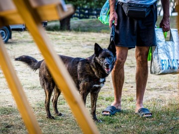 Noc nietoperzy w Przedborskim Parku Krajobrazowym 2025, 