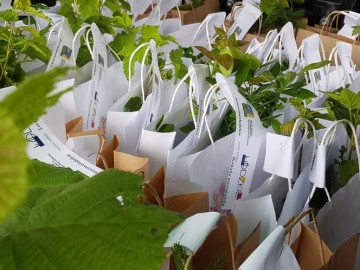 Przedborska Dycha 2025, 