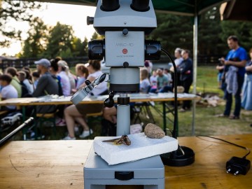 Nocne świecenia - poznaj świat motyli nocnych PPK 2025, 