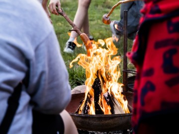 Nocne świecenia - poznaj świat motyli nocnych PPK 2025, 
