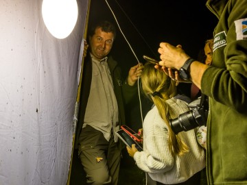 Nocne świecenia - poznaj świat motyli nocnych PPK 2025, 