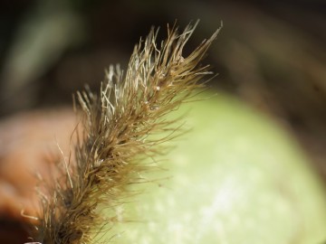 Warsztaty fotograficzne w PPK 2019, 