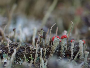 Warsztaty fotograficzne w PPK 2019, 