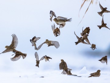 Zimowe obrazy w PPK 2026., 