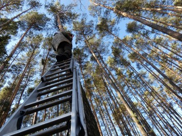 Czyszczenie budek lęgowych w naszych parkach, 
