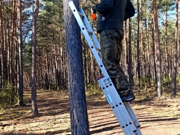 Czyszczenie budek lęgowych w naszych parkach, 