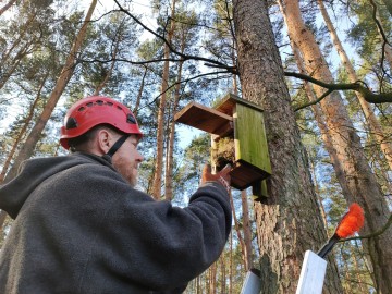 Czyszczenie budek lęgowych w naszych parkach, 