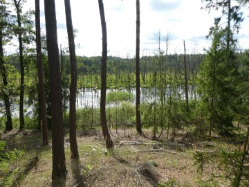 Rajd rowerowy po ZPK z SP w Kraszkowicach, <p>K.&nbsp;Kierniakiewicz</p>